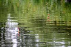 Killikus&reg; Fotographie